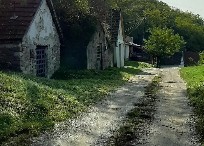 E-tekergok Haza Bukkzserc