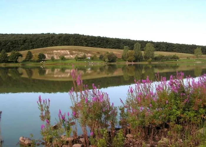 Konukevi E-tekergok Haza 4*